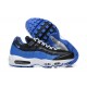 Sports Shoes Nike Air Max 95 TT (M) Black Blue DM0011-006