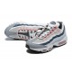 Sports Shoes Nike Air Max 95 TT (M) Red Stardust DM0011-008