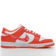 Nike Dunk Low Pro Medicom Toy 304292-142 Blue White Nike Dunk Rep