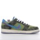 Nike Dunk Low Sun Club DV1681-100 Orange White Nike Dunk Rep